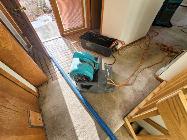 Best Water damage cleanup near me  in Brownsburg, IN