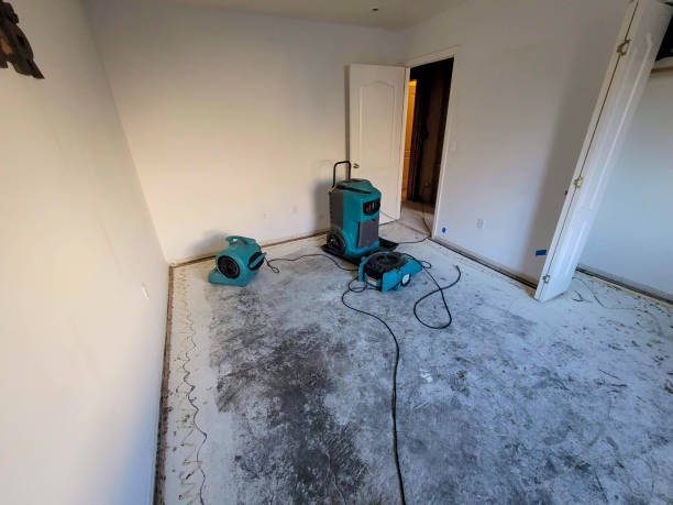 Best Commercial water damage restoration  in Brownsburg, IN