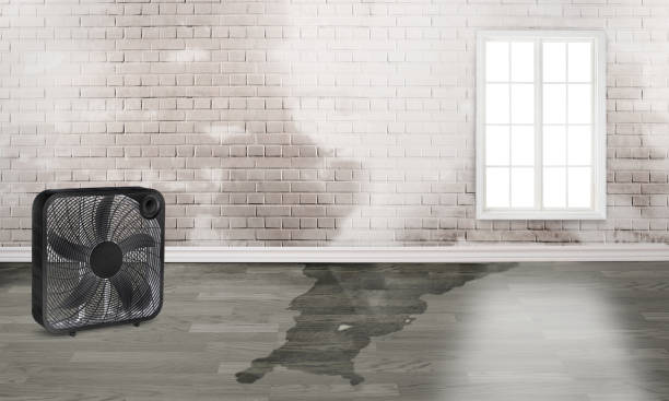 Professional Water damage restoration in IN