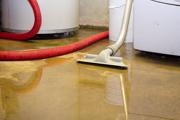 Best Carpet water damage restoration  in Brownsburg, IN