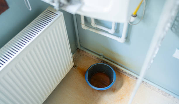 Best Water damage contractors near me  in Brownsburg, IN