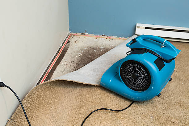 Best Water damage restoration near me  in Brownsburg, IN